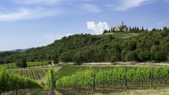 O que fazer na Toscana: degustação de vinhos no Castello Banfi